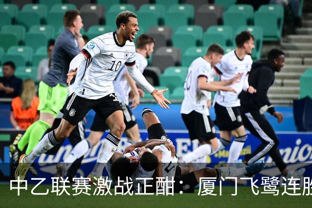 中乙联赛激战正酣：厦门飞鹭连胜在望，泰山B队面临危机